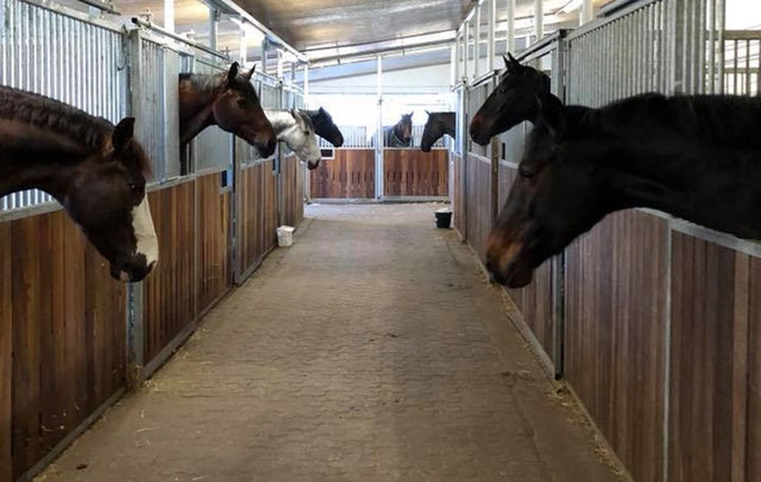 Reitsportzentrum Lichtenholz e. V. – Pensionsboxen