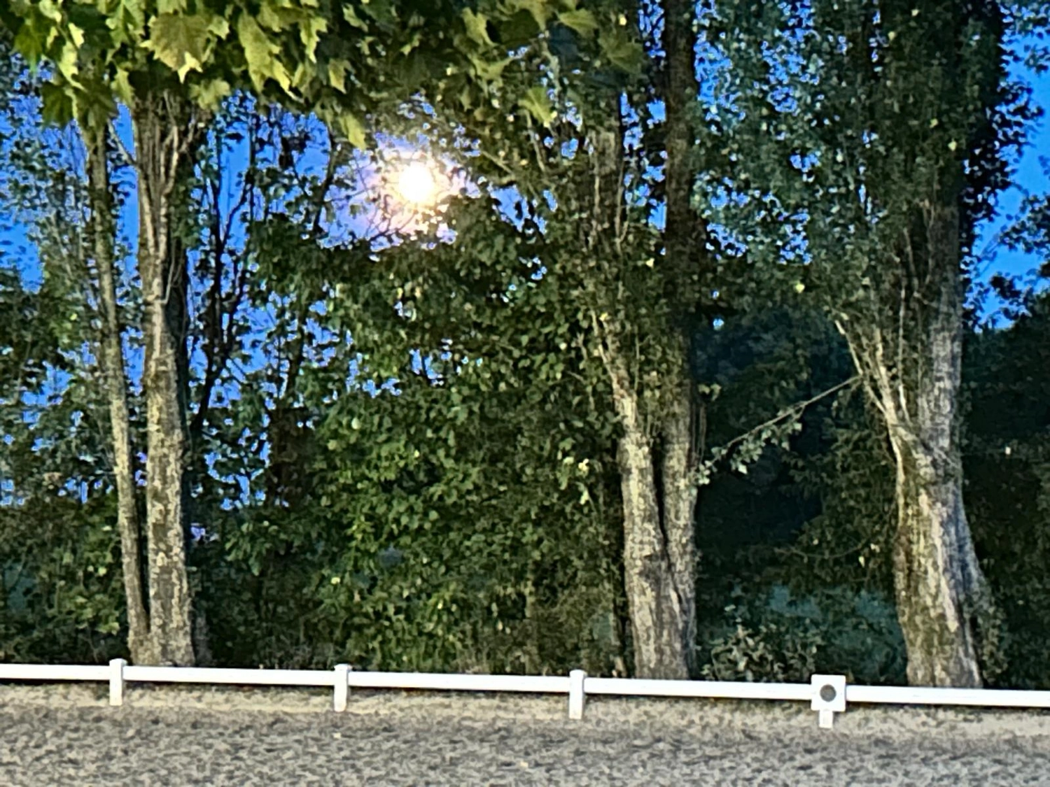 Reitsportzentrum Lichtenholz e. V. – Abendliches Turnier