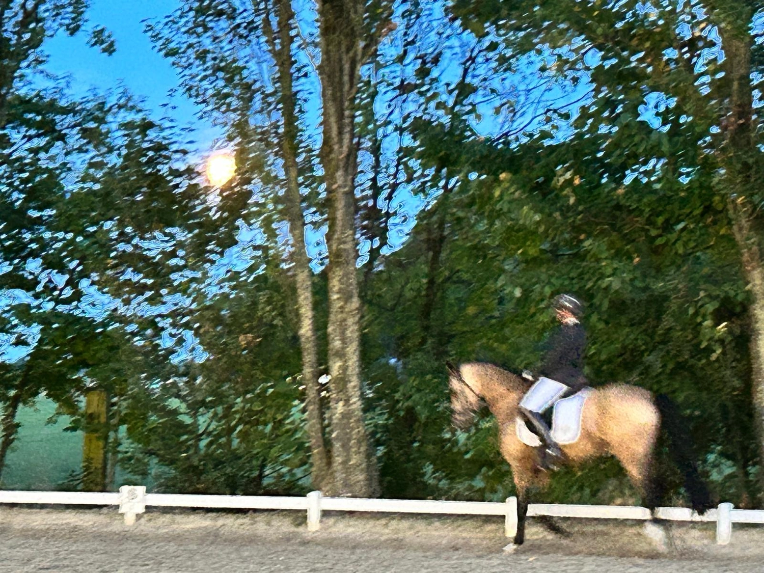 Reitsportzentrum Lichtenholz e. V. – Abendliches Turnier