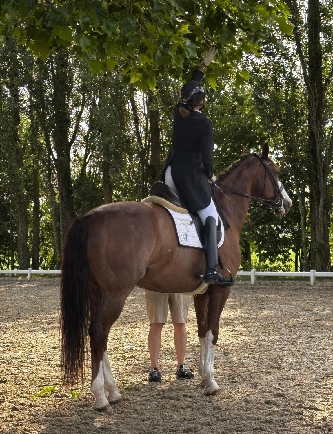 Reitsportzentrum Lichtenholz e. V. – Reiten