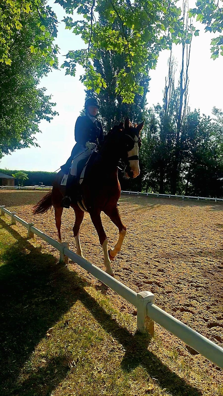 Reitsportzentrum Lichtenholz e. V. – Reiten