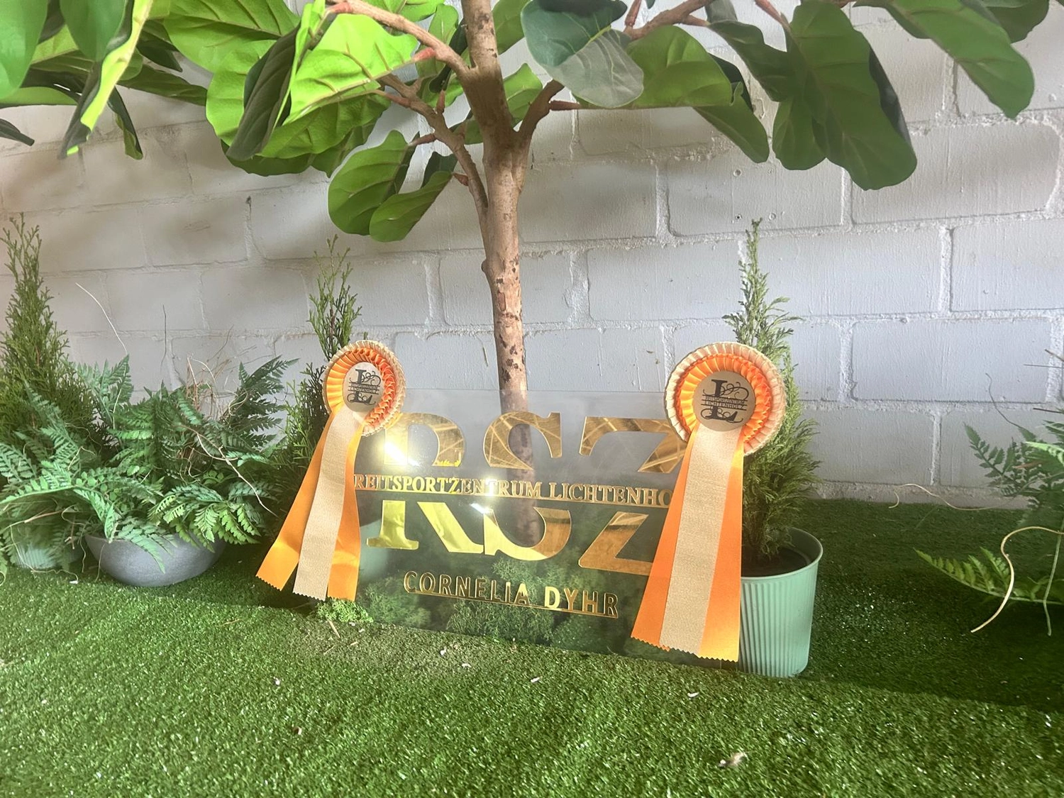 Reitsportzentrum Lichtenholz e. V. – vergeben