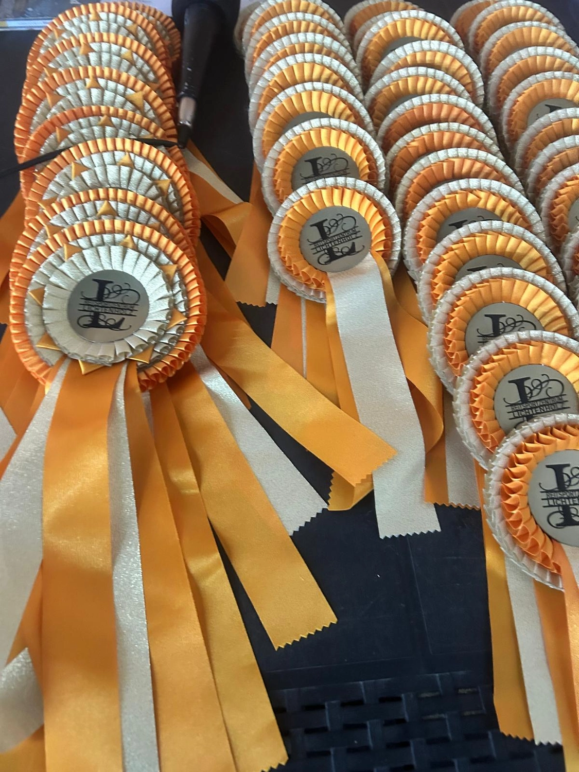 Reitsportzentrum Lichtenholz e. V. – Weihnachtsturnier