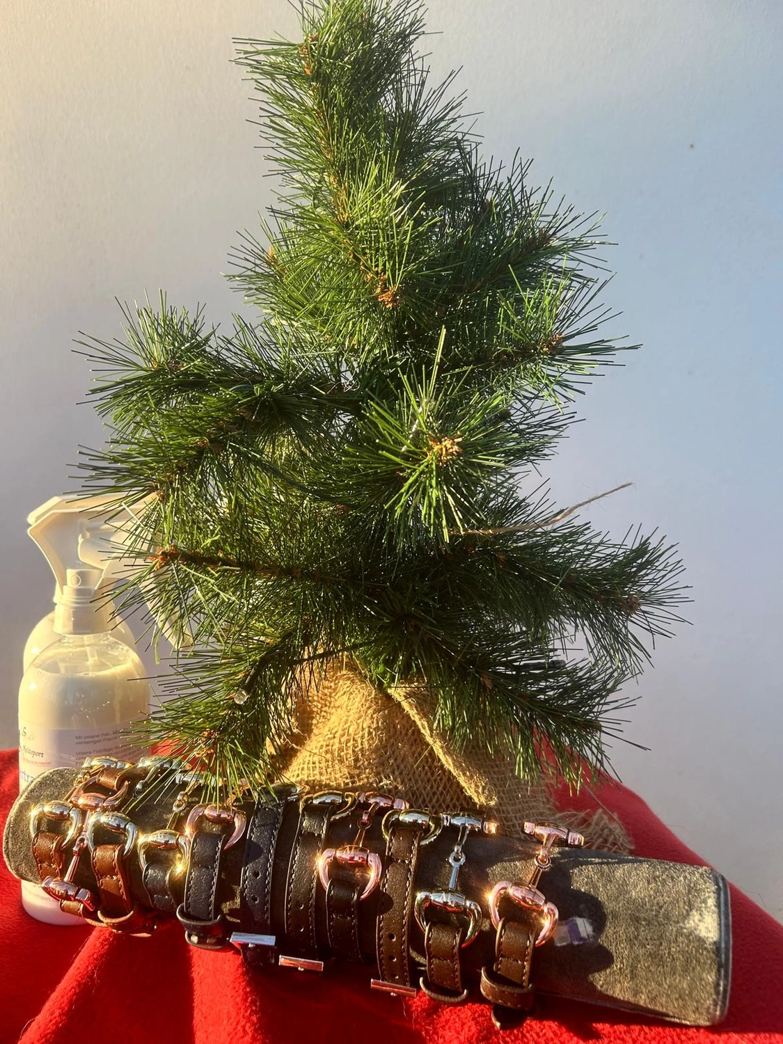 Reitsportzentrum Lichtenholz e. V. – Weihnachtsturnier