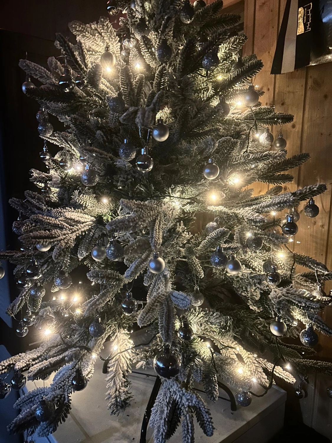 Reitsportzentrum Lichtenholz e. V. – Weihnachtsturnier