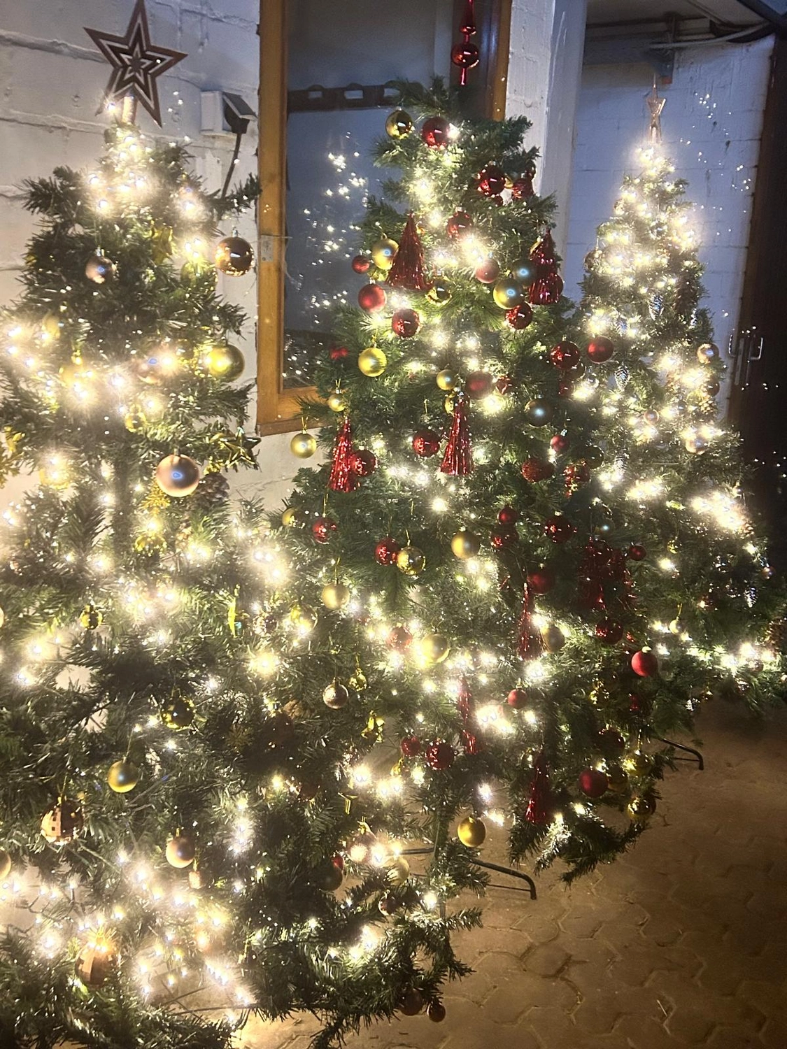 Reitsportzentrum Lichtenholz e. V. – Weihnachtsturnier