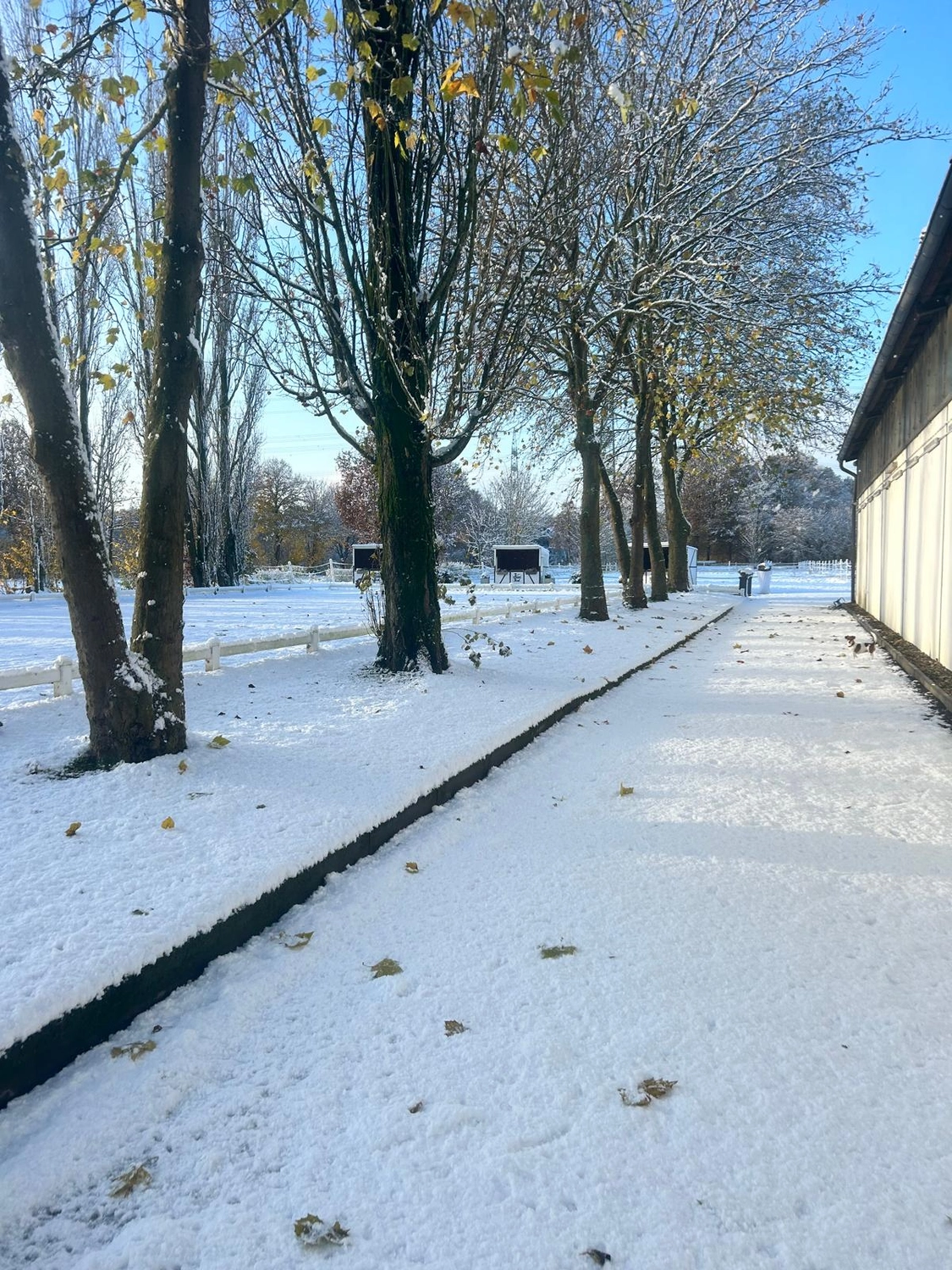 Reitsportzentrum Lichtenholz e. V. – Winterschnee
