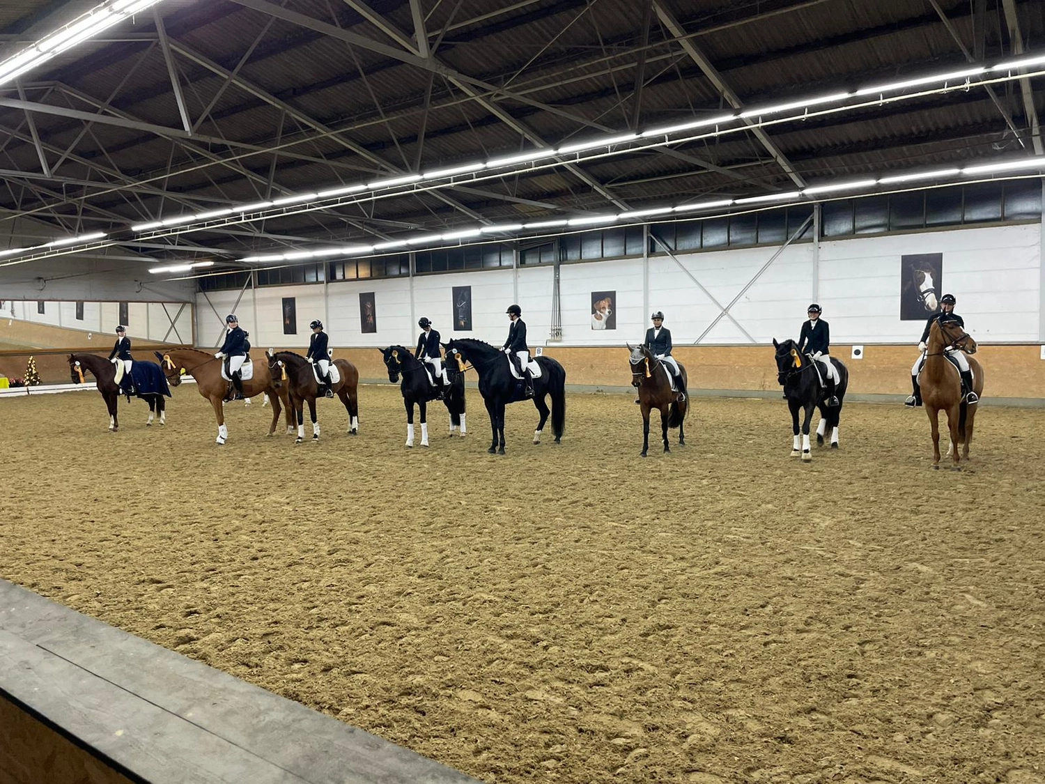 Reitsportzentrum Lichtenholz e. V. – Reitertraining auf Pferden