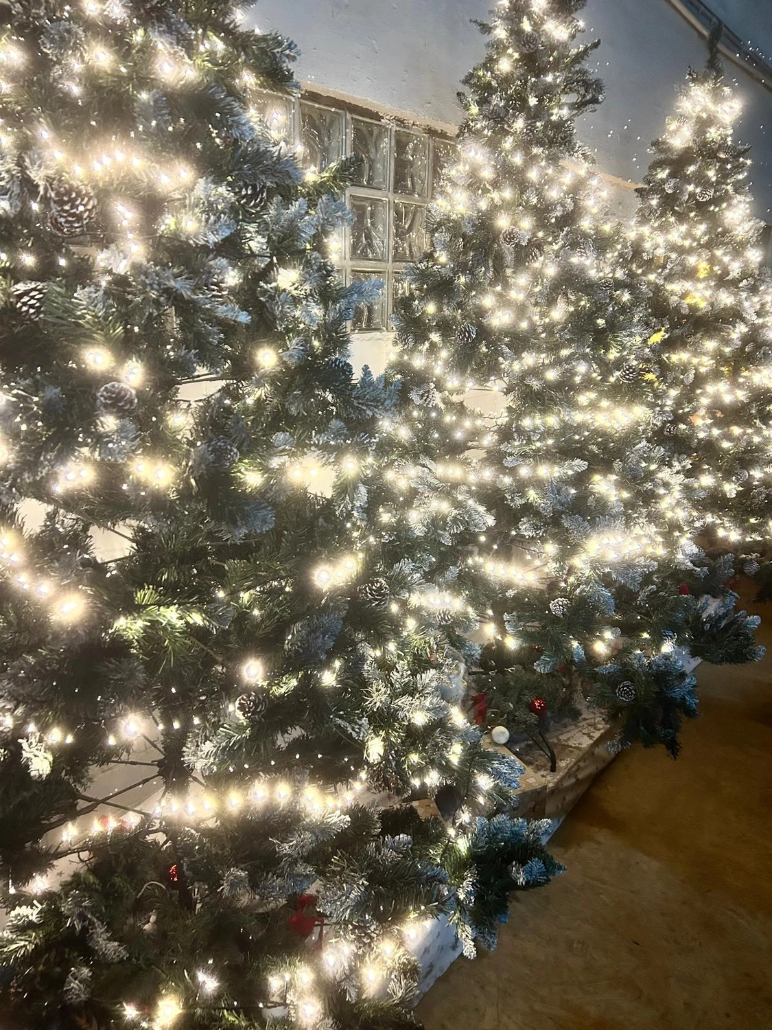 Reitsportzentrum Lichtenholz e. V. – Weihnachtsturnier