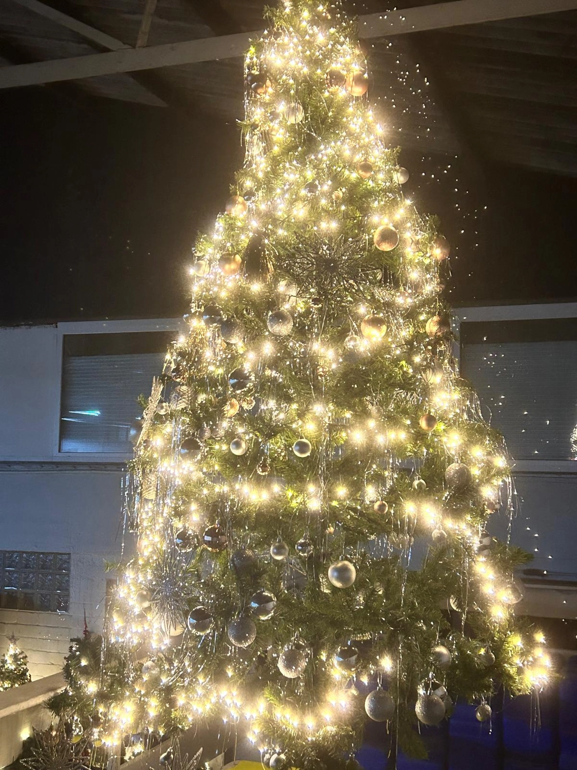 Reitsportzentrum Lichtenholz e. V. – Weihnachtsturnier