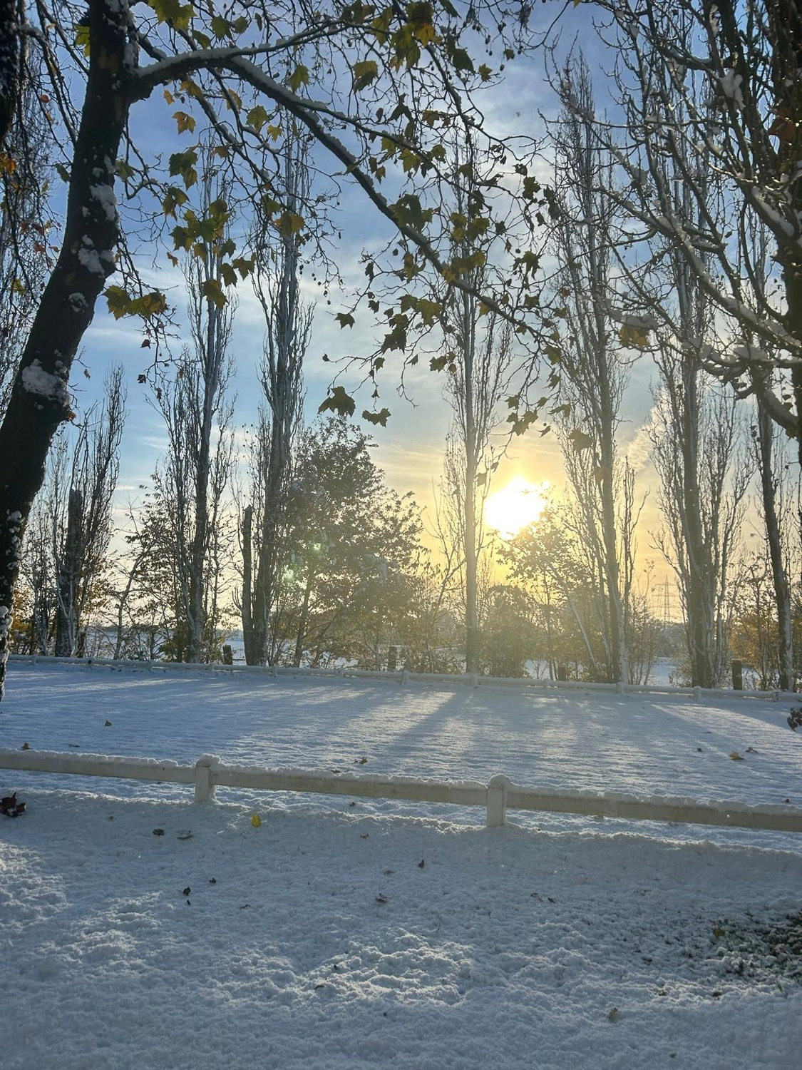 Reitsportzentrum Lichtenholz e. V. – Winterschnee