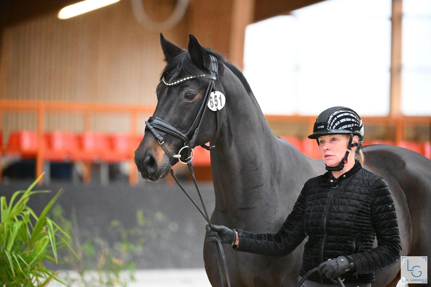Reitsportzentrum Lichtenholz e. V. – Reiter mit Pferd