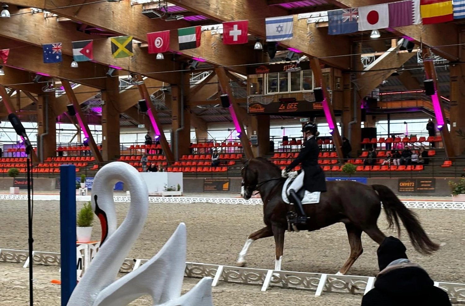 Reitsportzentrum Lichtenholz e. V. – Cornelia Dyhr