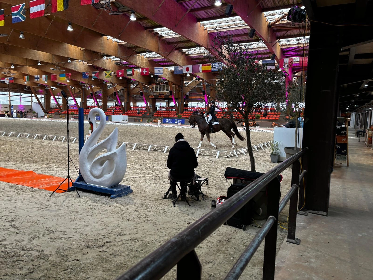 Reitsportzentrum Lichtenholz e. V. – Cornelia Dyhr