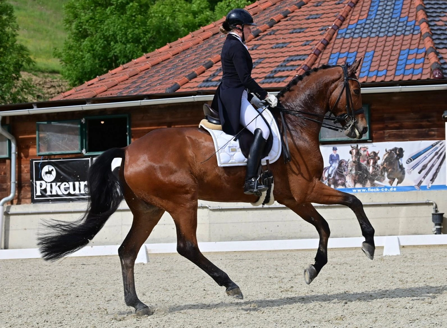 Reitsportzentrum Lichtenholz e. V. – Cornelia Dyhr