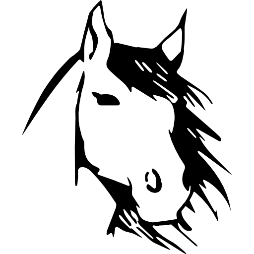 Reitsportzentrum Lichtenholz e. V. – Pferdesymbol