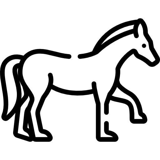 Reitsportzentrum Lichtenholz e. V. – Pferdesymbol