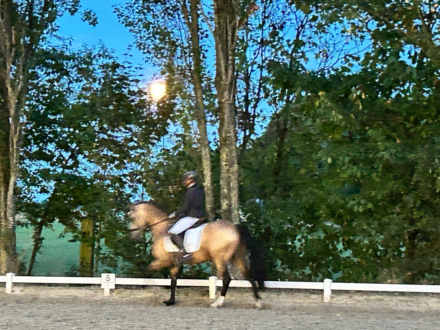 Reitsportzentrum Lichtenholz e. V. – Abendliches Turnier