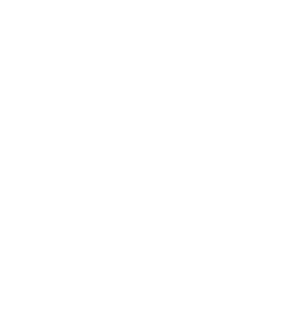 Reitsportzentrum Lichtenholz e. V. – Pferdelogo