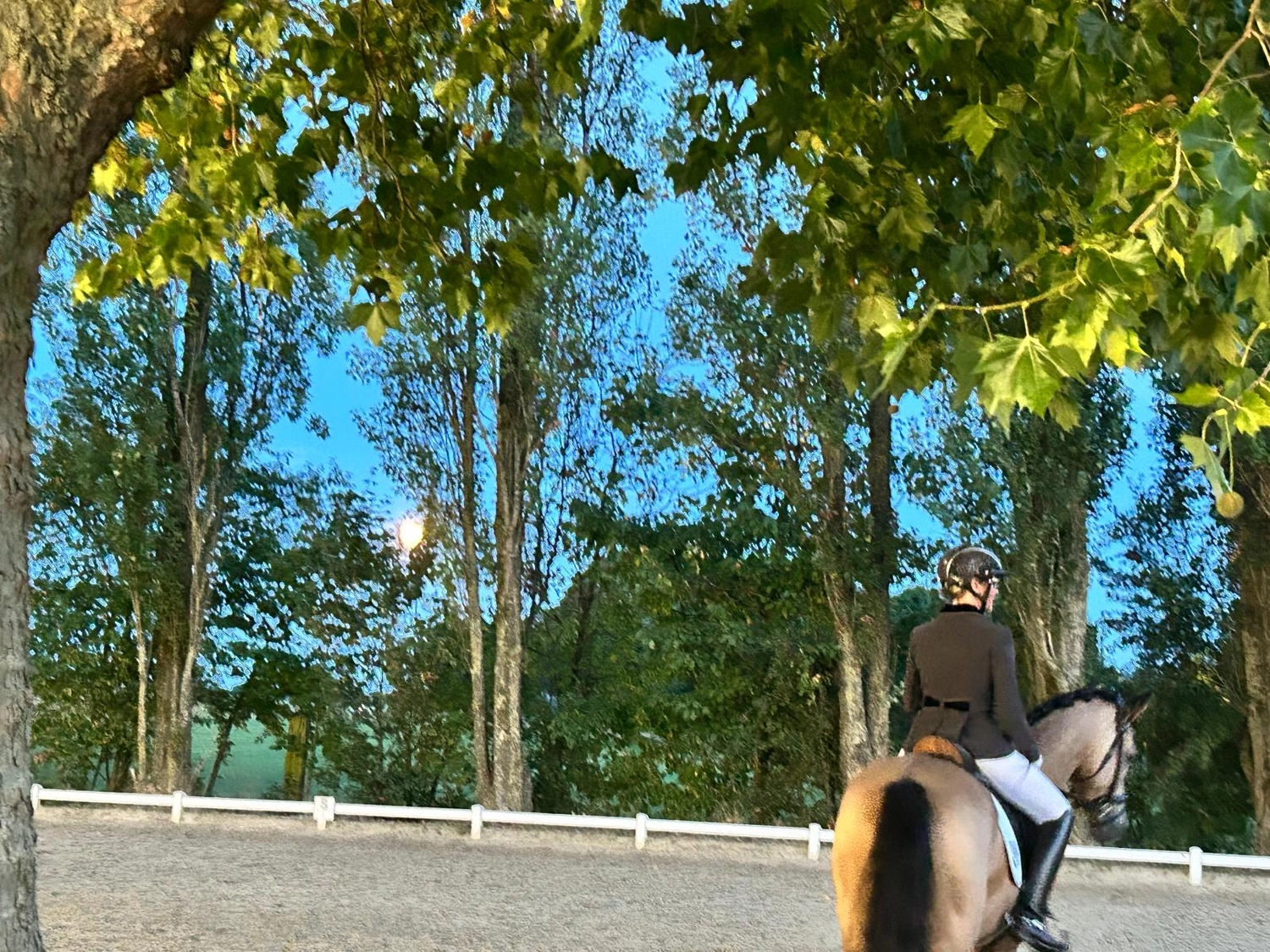Reitsportzentrum Lichtenholz e. V. – Abendliches Turnier