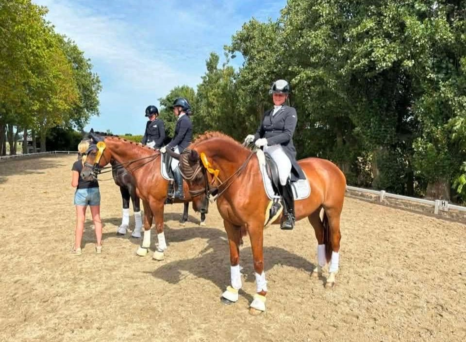 Reitsportzentrum Lichtenholz e. V. – Abendliches Turnier