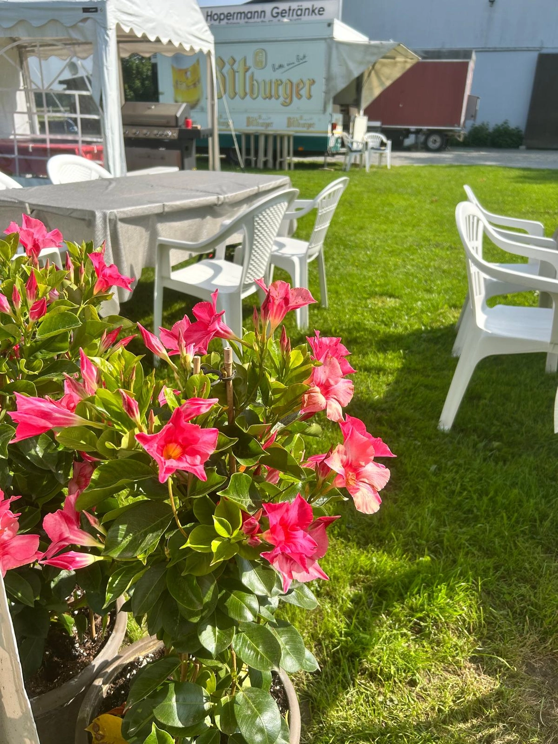 Reitsportzentrum Lichtenholz e. V. – Blumen im Sitzbereich