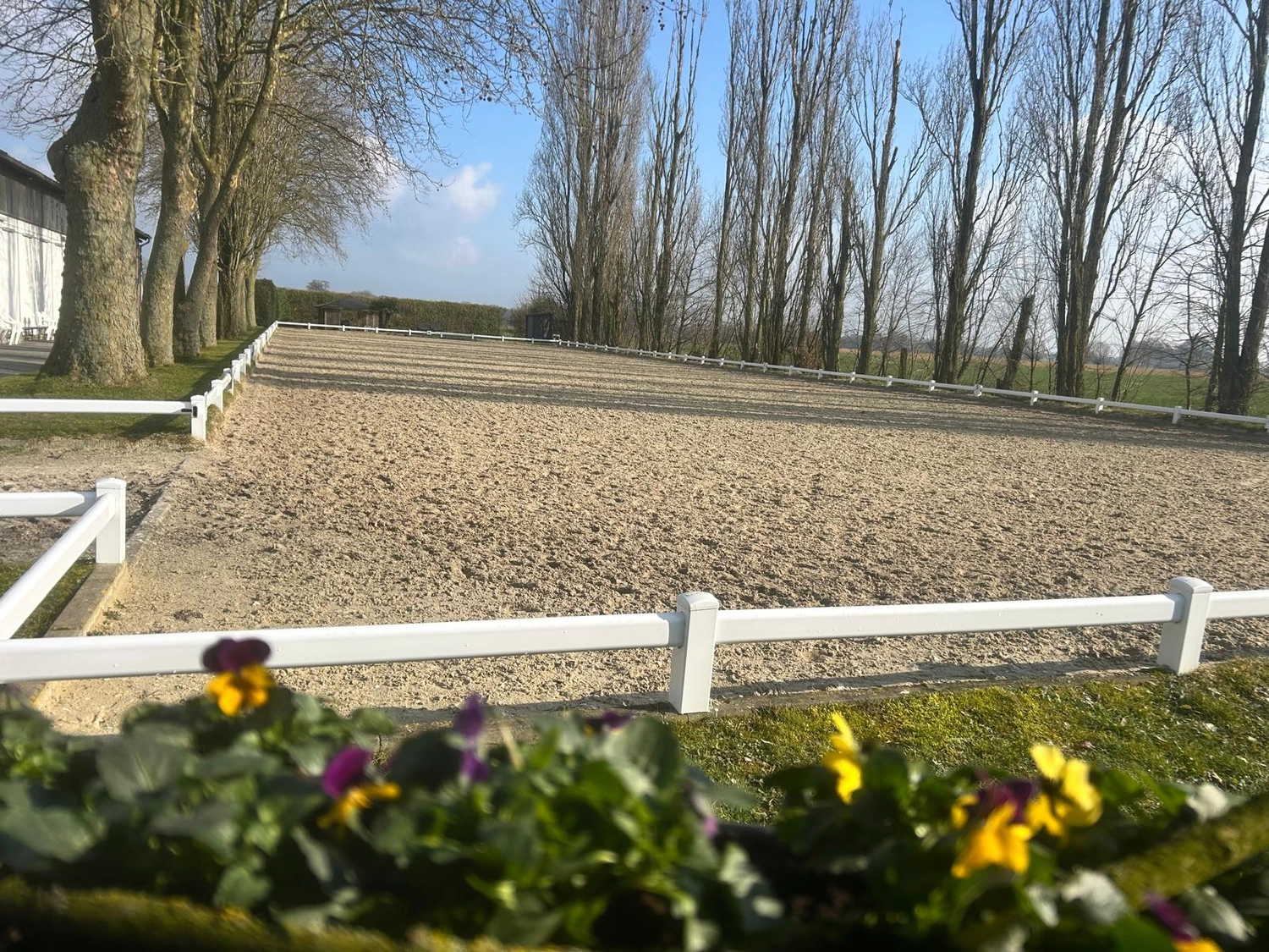Reitsportzentrum Lichtenholz e. V. – Reitplatz
