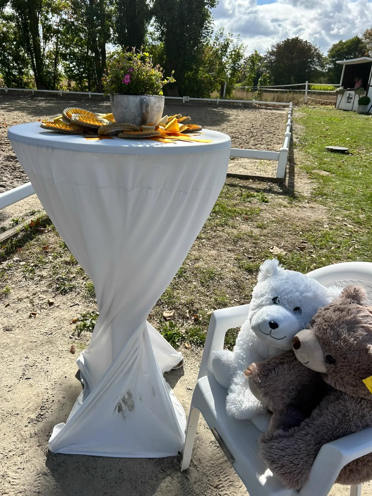 Reitsportzentrum Lichtenholz e. V. – Schleifen und Ehrenpreise
