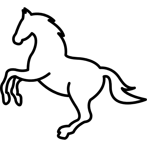 Reitsportzentrum Lichtenholz e. V. – Pferdesymbol