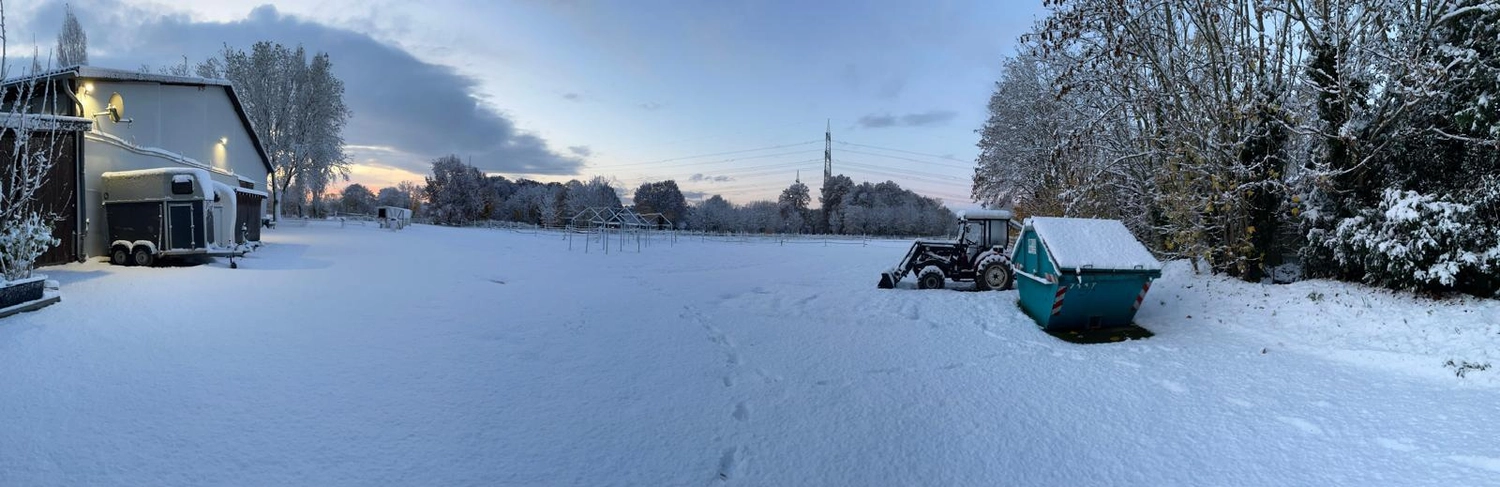 Reitsportzentrum Lichtenholz e. V. – Winterschnee