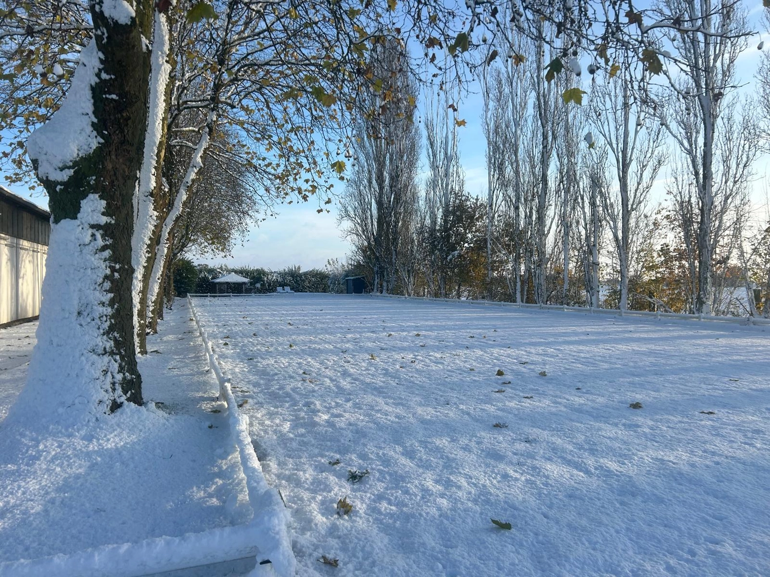 Reitsportzentrum Lichtenholz e. V. – Winterschnee